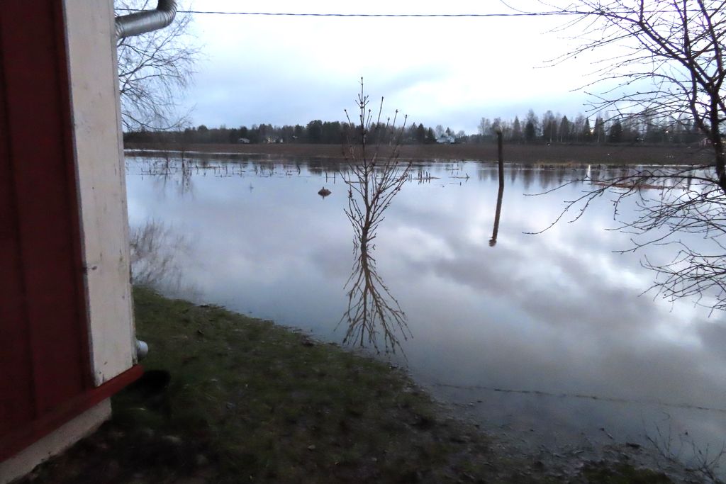 – Valoista ei näkynyt jälkeäkään – vain suuri järvi, Pentti Hakamäki kuvailee tilannetta, jossa hän alkoi pelastaa valotapahtuman valoja tulvasta.